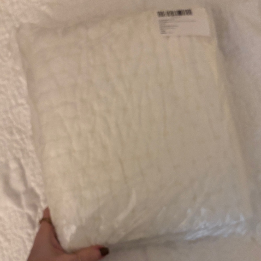 NEW Quince European Linen Cotton Stitch Sham Set (King)